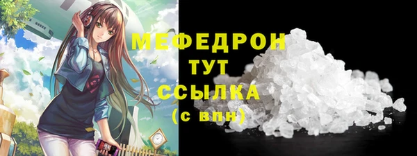 стаф Менделеевск