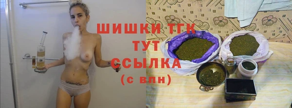 крисы Дмитриев