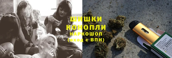 крисы Дмитриев